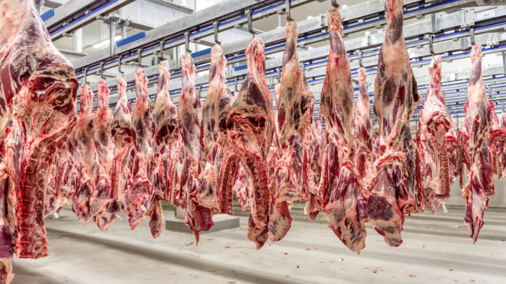Setor de carnes vê na Coreia do Sul uma nova fronteira para exportações brasileiras
