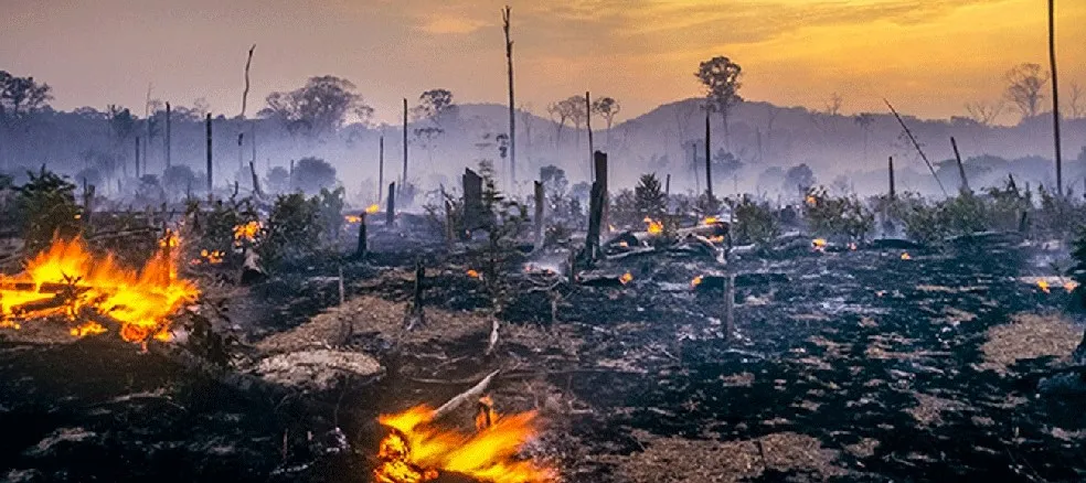 Incêndios florestais e a inércia política no Brasil: Menos de 1% das emendas destinadas ao combate ao fogo