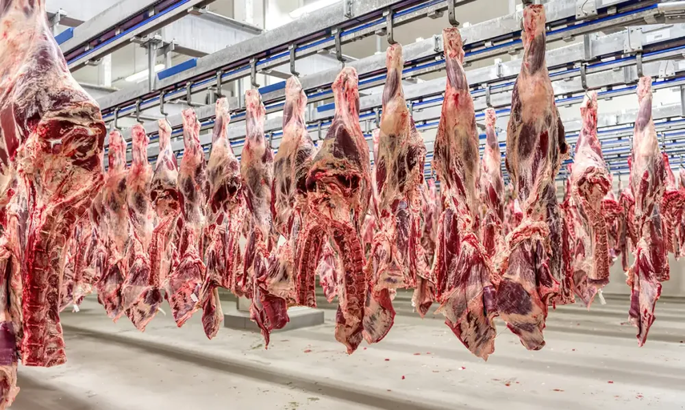 Exportações de carne crescem 45% para a China