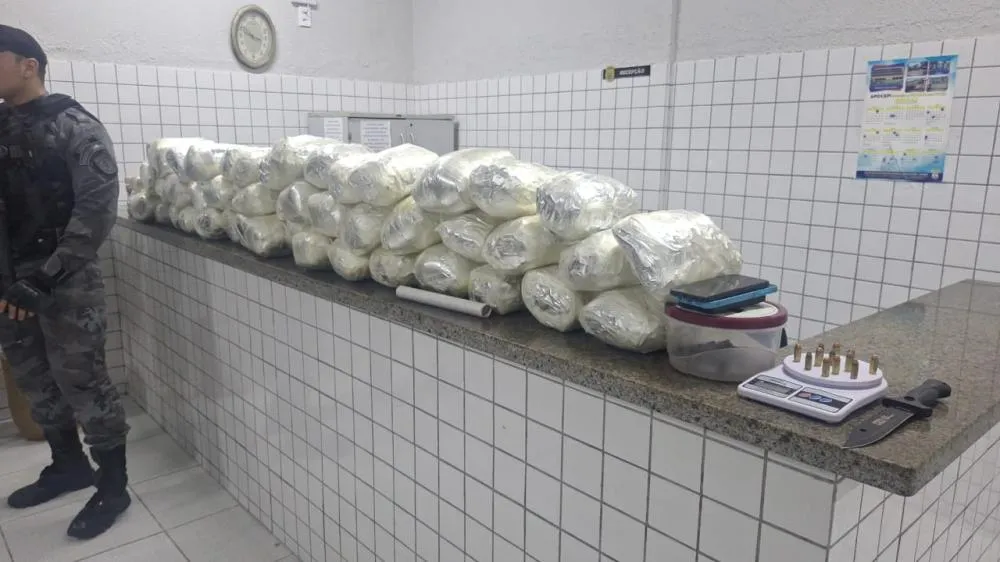 Operação da PM apreende 29 kg de drogas e munições no litoral do Piauí 