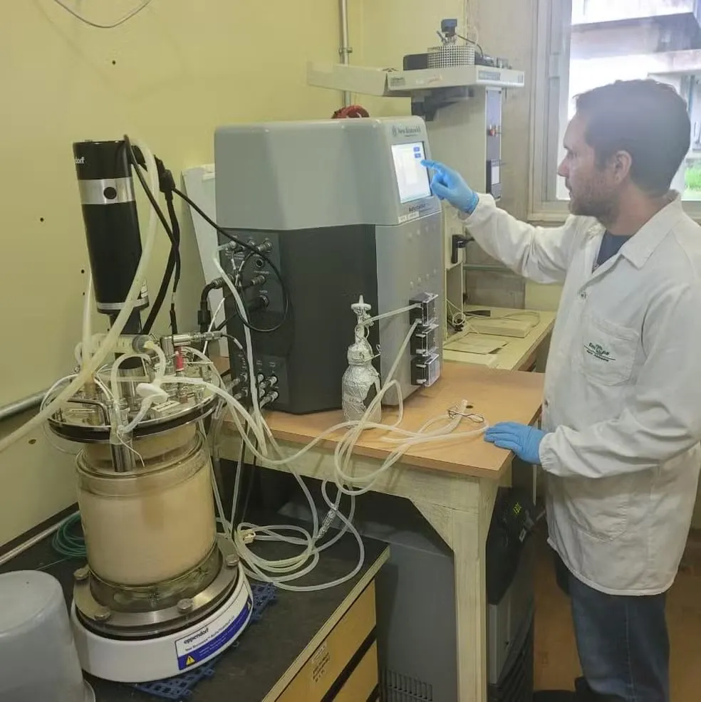 Estudo inova na produção de bioinseticidas utilizando resíduos da agroindústria