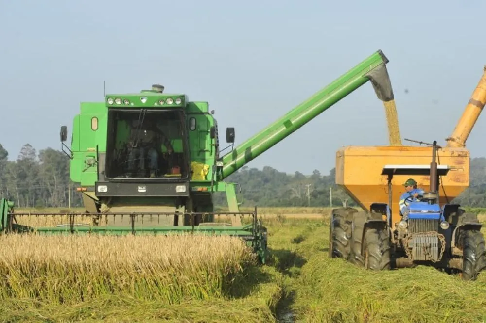 Governo libera R$ 73,6 milhões para apoiar produtores de arroz