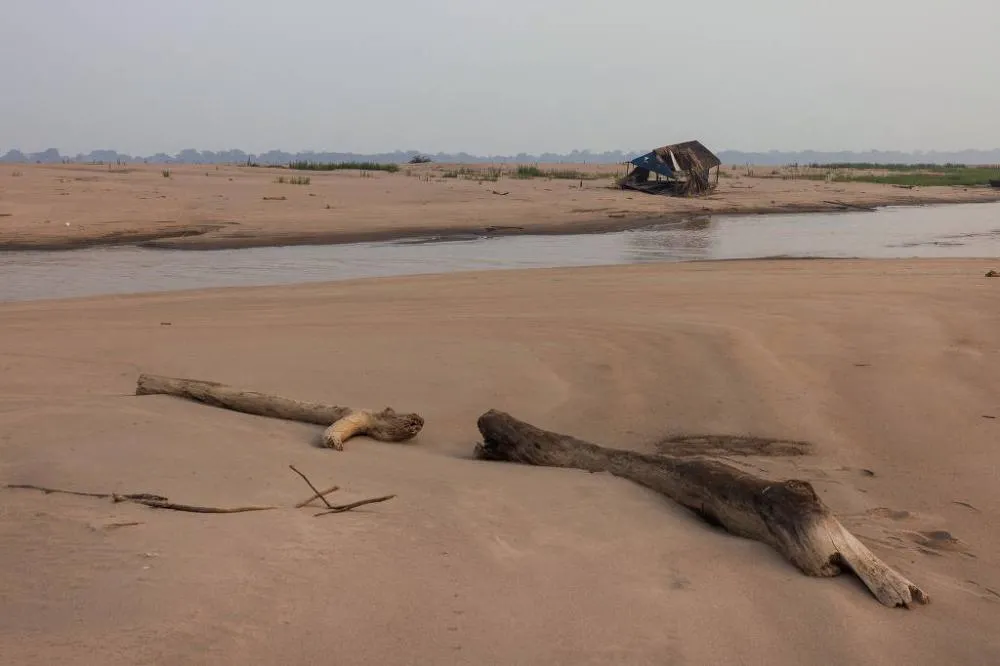 Seca e queimadas: A devastação da Amazônia e o impacto nas famílias ribeirinhas