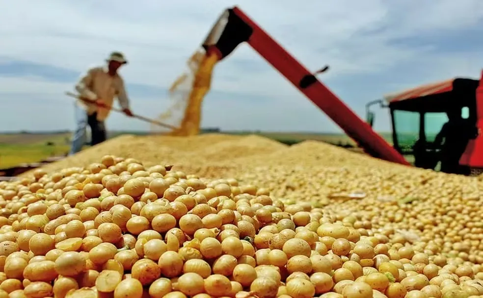 Brasil cresce, mas não decola: 2,3% é voo de galinha para um gigante tropical