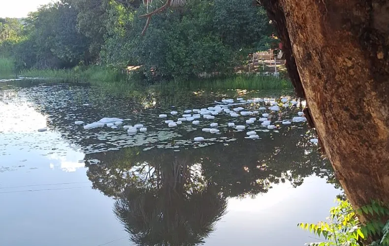 Caminhão com veneno tomba em balneário no Piauí e motorista morre no local
