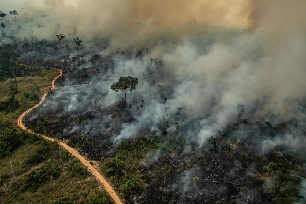  Amazonas bate mais um recorde e registra 783 focos de queimadas em um único dia 