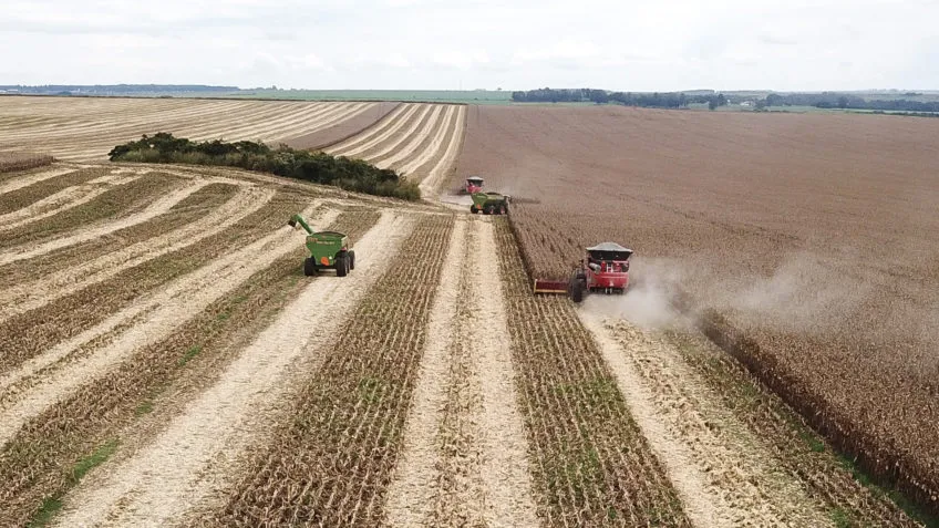 Agro recua 1,5% em janeiro, aponta prévia do PIB divulgada pelo Banco Central