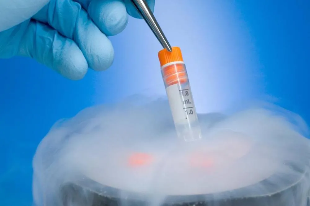 Cientistas conseguem reativar tecido cerebral após congelamento extremo