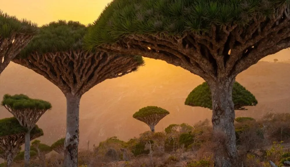 A ilha onde o tempo parece desafiar a lógica