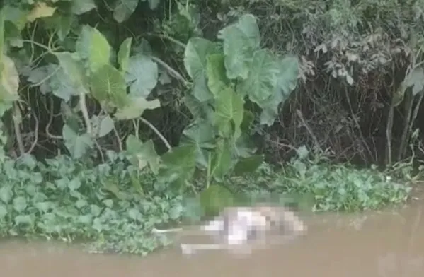 Homem é encontrado sem vida em área próxima ao rio Poti, em Teresina