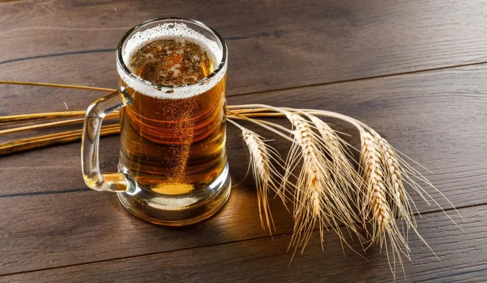 Cevada brasileira avança, mas futuro da cerveja está em xeque