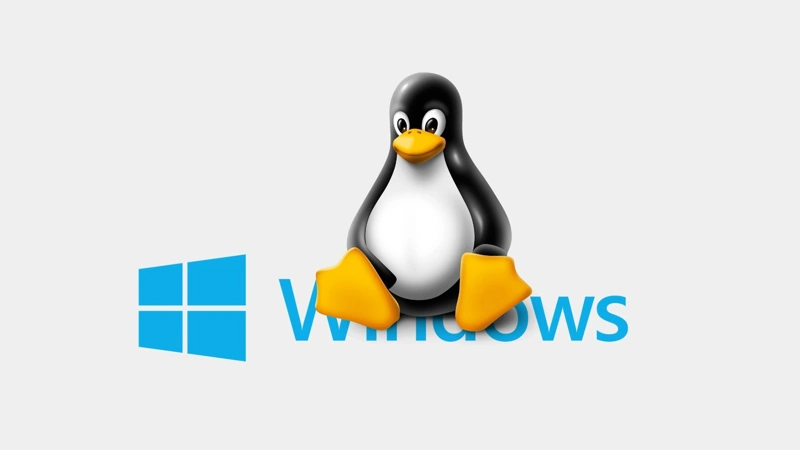 França decide abandonar Windows e adotar Linux em órgãos públicos para reduzir dependência da Microsoft