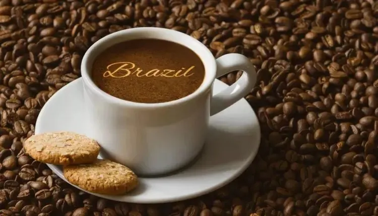 Preço do café alcança recorde histórico e pressiona mercado internacional