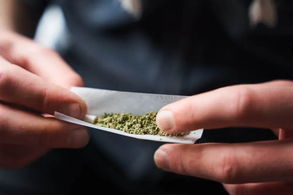 Uso de maconha na adolescência dobra risco de transtornos mentais, aponta estudo