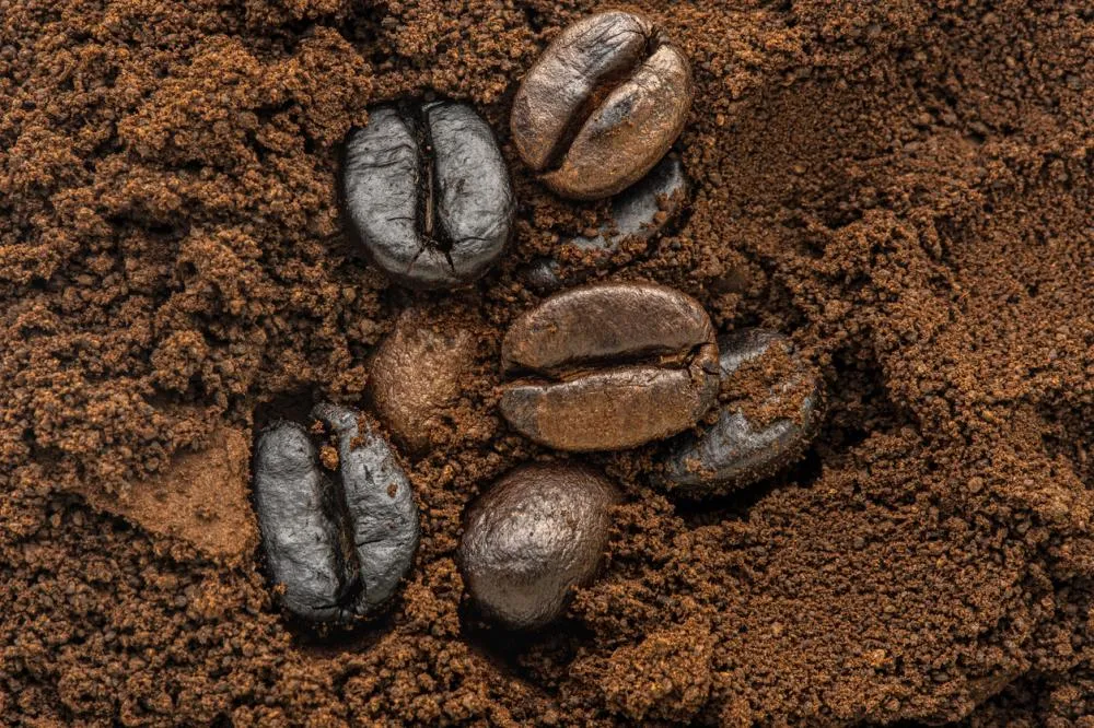 Acordo com Europa pode destravar exportações de café brasileiro