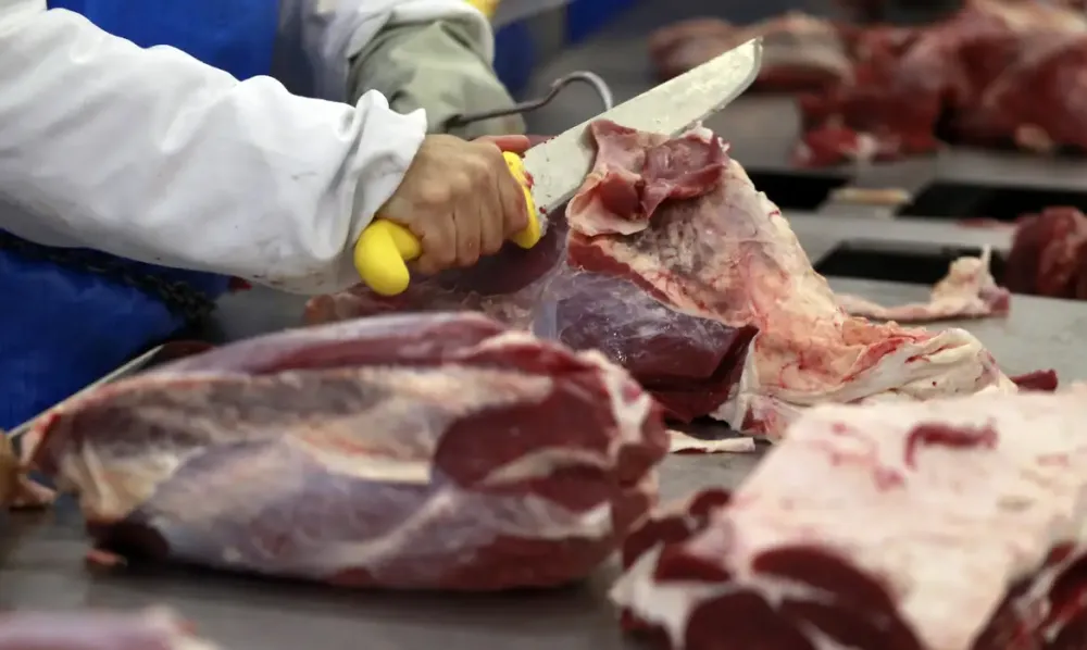 União Europeia proíbe importação de carne brasileira
