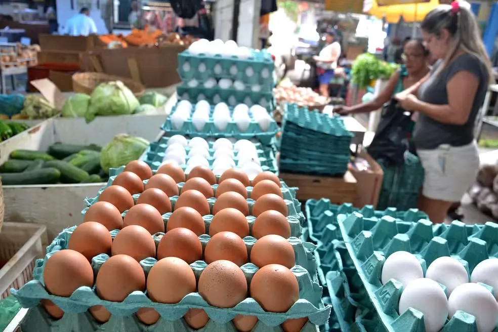 Ovo vira protagonista na mesa do brasileiro e consumo bate recorde em 2026