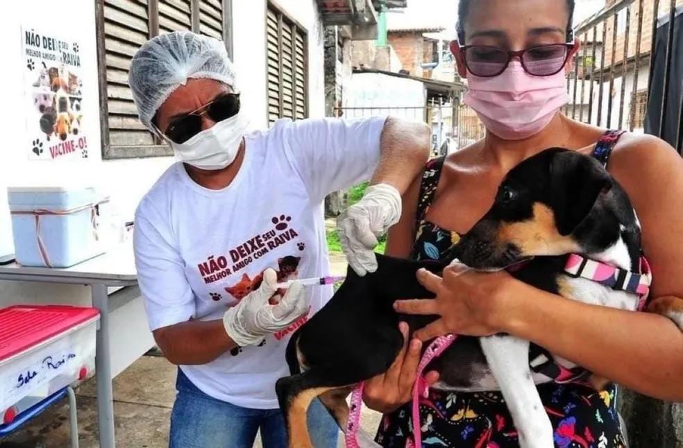 Campanha de vacinação antirrábica no Piauí é prorrogada até outubro