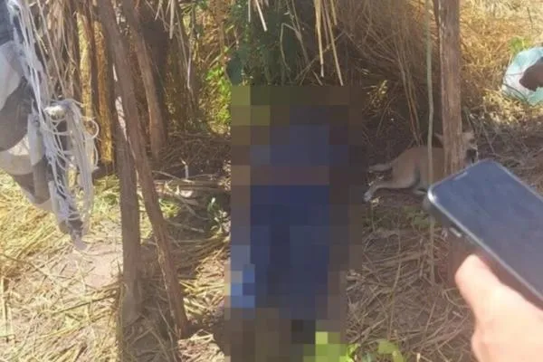 Idoso morre após passar mal enquanto trabalhava em roça na cidade de Morro do Chapéu do Piauí