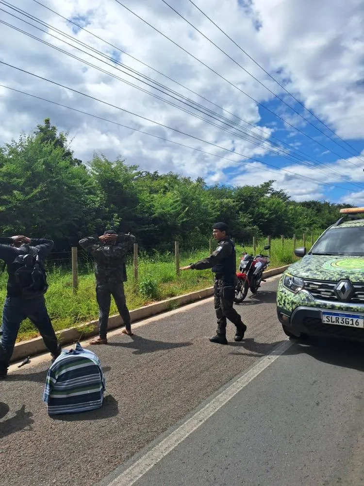 Polícia Ambiental apreende aves silvestres  na zona Sudeste de Teresina