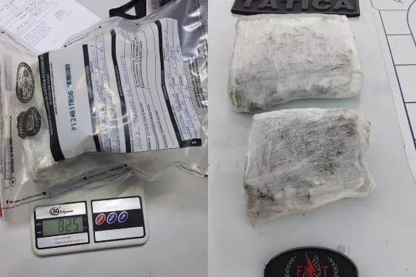 Polícia encontra tabletes de maconha enterrados em área de mata na zona Norte de Teresina