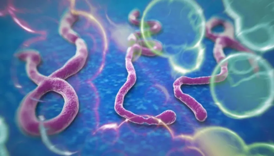 Ebola volta ao radar global e coloca Brasil em estado de vigilância sanitária